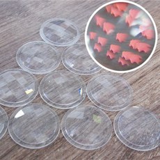 10P 곤충의눈 렌즈 초등과학 안경 만들기 관찰 겹눈 교과서 수업 제작 교재 학생 교구