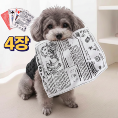 이브앤유 찢어지지 않는 강아지 고양이 신문지 장난감, 1세트, A형(혼합)