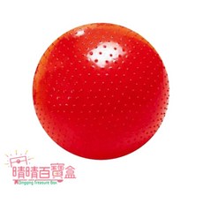 【晴晴百寶盒】台灣品牌 大觸覺球 環保 WISDOM 觸感統感 教具益智遊戲 環保無毒玩具 檢驗合格 W912, 1個