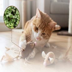 루틴 마켓 캣닙 쥐 고양이스크래처