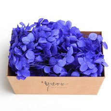 화연양화 프리저브드플라워 블루밍 케이스 수국 30색, 15 퍼플