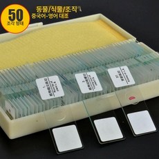프레파라트 48종 표본 실험도구 식물 현미경 체험, 50장 유리 표본 - 인체 조직, 기본 색상