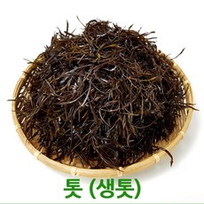 자체브랜드 싱싱한 청정완도산 생톳2kg 싱싱지오, 2kg, 1개