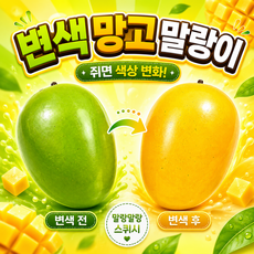 왁뿌하우스 망고 슬랑이 변색 말랑이, 1개, 50g, 노랑망고