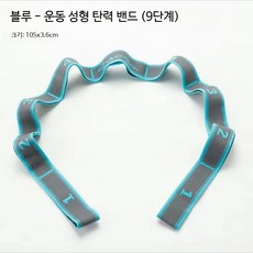 탄성 저항 밴드 하체 스트레칭 홈트 요가 필라테스 근력 운동용 밴드, 블루 9단계, 1개