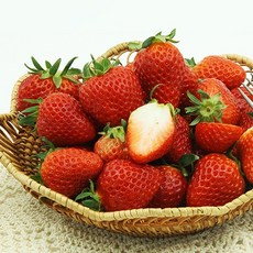 고당도 설향딸기 한입과 특과 당일수확 신선딸기 350g, 2박스, 소과 350g 1팩(15-21과)