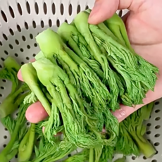 [초특가] 향긋한 제철 국내산 땅두릅, 200g, 1개