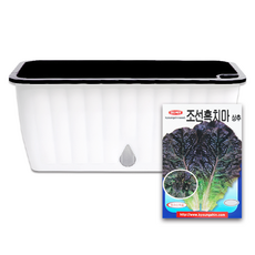 라운드오프 간단한 저면관수 텃밭화분 set, 텃밭화분+흑상추