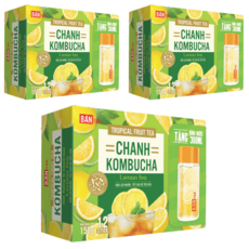 콤부차 레몬맛 다이어트차 베트남 BAN F&B, 3개, 8개입, 5g