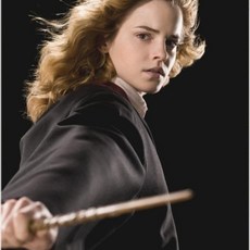 해리포터 클래식 영화 호그와트 페인팅 크로스 아트 퍼즐 모자이크 자수 홈 데코 신상품, 1개, 8. 15