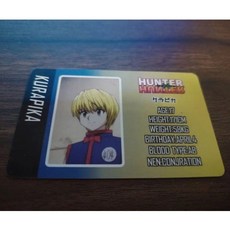 헌터헌터 헌헌 캐릭터 신분증 자격증 카드 곤 키르아 크라피카 레오리오 히소카, H