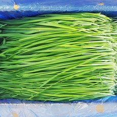 부추 4kg, 1박스