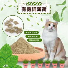 有機貓薄荷, 1個
