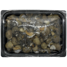 흑고동 800g, 자숙 흑고둥 800g, 1개