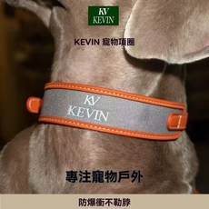 KEVIN 寵物項圈 遛狗牽引繩, 桔色,L-大型, 1個