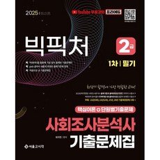 2025 빅픽처 사회조사분석사 2급 1차/필기 기출문제집, 서울고시각