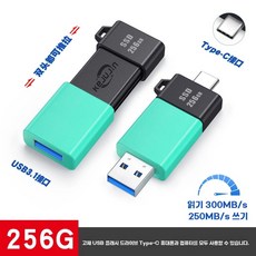 피오 FiiO BTR17 1년A/S 즉시출고 AMP DAC ES9069Qx2, I. 솔리드 스테이트 USB 플래시 드라이브 256GB, I. 솔리드 스테이트 USB 플래시 드라이브 256GB