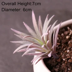 인공 다육 식물 홈 가든 침실 거실 사무실 장식 액세서리 데스크탑 미니 작은 분재, FP Mini Ling Jiao Ca, 1개