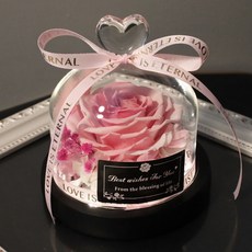 永生花玻璃罩 招財貓擺件, 可愛粉