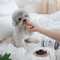 베리앤펫 동결건조 요거트 트릿 강아지 고양이 유산균 간식, 1개, 80g, 블루베리