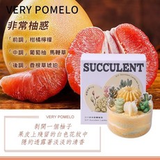 VERY POMELO 多肉砂畫蠟燭材料包, 1個, 非常柚惑【專櫃全套材料包】