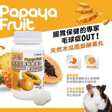 Petty Man 天然木瓜鳳梨酵素丸 100錠，適用兔兔、龍貓、天竺鼠、倉鼠、土撥鼠，幫助消化道順暢，減少毛球困擾, 1個, 原罐裝