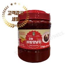 오늘 비빔양념장 플러스, 1개, 2kg
