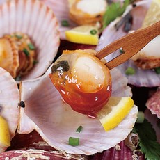 통수산 통영 제철 홍가리비 국내산 세척 산지직송 가리비, 1개, 추천특가/홍가리비3kg(58미내외)