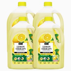 지오클린 레몬테라피 액체세제, 2.5L, 4개