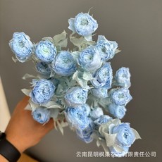 永生花玫瑰花束, 天藍色