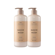 아모레퍼시픽 미쟝센 스킨케어 퍼퓸 트리트먼트 블랑쉬앤우디향 900ml, 2개