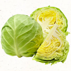 친환경 양배추 국내산 아삭한 쌈채소 샐러드용, 1kg, 1개, 1kg