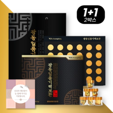 광동제약 건강 기력환 (쇼핑백+카드 포함 세트) 30환 60환 부모님 선물세트, 2세트, 30정