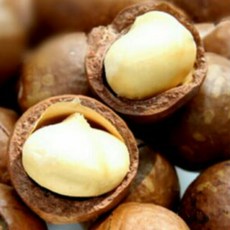 帶殼夏威夷豆(600g/包) 本年度最新鮮貨 夏威夷果 帶殼夏威夷果, 1個, 600g