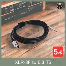Stander XLR 轉 6.3mm 訊號線 麥克風音源轉接線, 1個