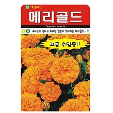 아람종묘 메리골드 꽃 씨앗, 1개