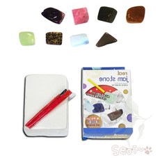 서이 화석캐기 보석 발굴 키트 광물