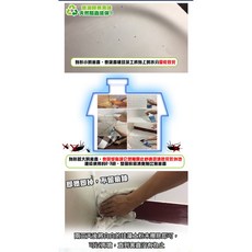 QIDINA 珪藻土萬用除濕除臭液, 1個, 3入