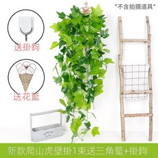 仿真綠蘿客廳掛墻綠植 壁掛植物裝飾 垂吊假花藤 條室內藤蔓吊蘭吊籃, 新款爬山虎吊蘭1束(送三角籃), 1個