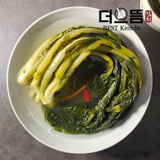 더으뜸 전라도 갓물김치 5kg, 없음, 1개