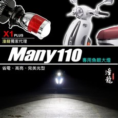 獨家聚光版 「MANY 110專用」 LED魚眼大燈 - 高亮不刺眼，三色可選（超白光、暖白光、黃金光），直上安裝方便, 1個, 「E4」型號 - 可直上R3 MINI,R3聚光二代-近白遠黃(夜間+破霧)