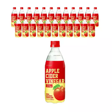 애사비 오리지널, 24개, 500ml