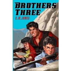(영문도서) Brothers Three Paperback, Insundry Productions Books, English, 9781736801352