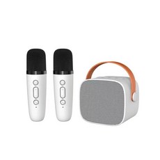 LEBO樂柏 無線雙麥克風音箱 台灣BSMI認證 無線藍芽音箱 去人聲 唱歌 行動ktv 連假出遊 父親節禮物, 象牙白, P2