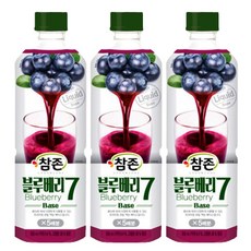 참존 블루베리7 원액 농축액 음료베이스, 3개, 835ml
