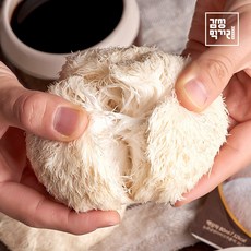 무농약 노루궁뎅이버섯 1kg 내외 노루궁뎅이 버섯 산지직송, 생노루궁뎅이버섯 1kg, 1개