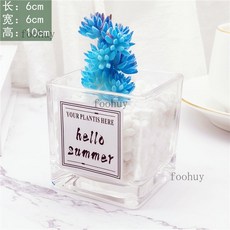 台灣出貨 熱賣 ins風仿真多肉盆栽 仙人掌綠植 客廳擺件 小盆栽裝飾品 綠植假花桌面擺設, 多藍杉+ins小方玻, 1個