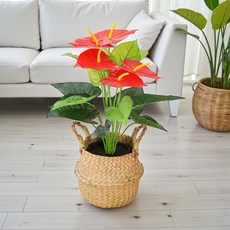 紅色 искусственный антуриум 火鶴花仿真植栽, 財源滾滾旺財火鶴花仿真植栽, 1個