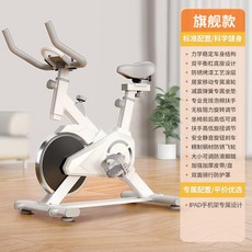 실내 자전거 로잉 좌식 좌식헬스자전거 바디밸런스 사이클 홈트레이닝 헬스 좌식사이클, R1 가정용- -무음