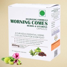 인도정품 모닝컴스 30X2박스 60캡슐 숙취해소제, 30정, 2박스